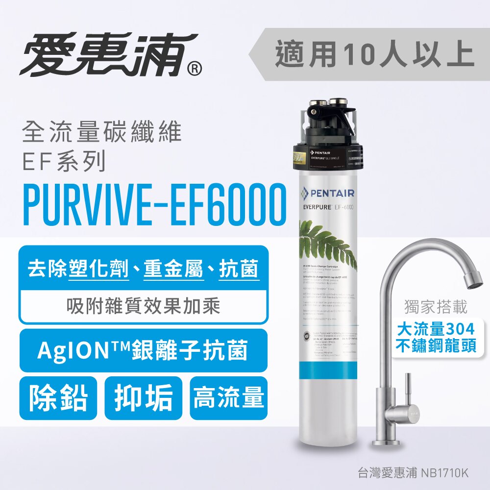 台灣愛惠浦 EF6000 全流量強效碳纖維淨水器