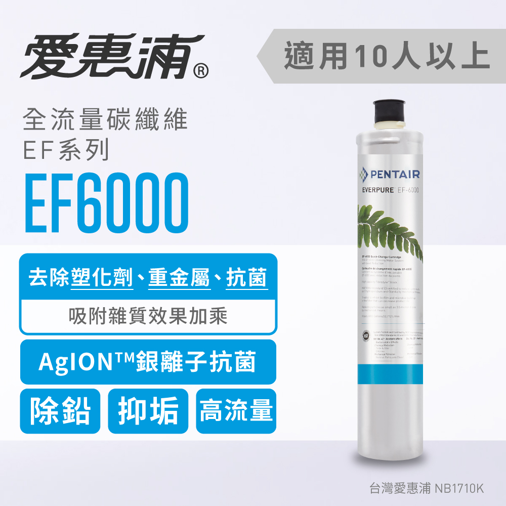 台灣愛惠浦 EF6000 全流量強效碳纖維濾芯
